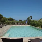 Casarina