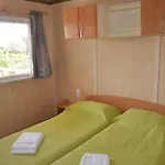 Casarina